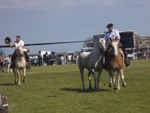 Fiesta Veteranos